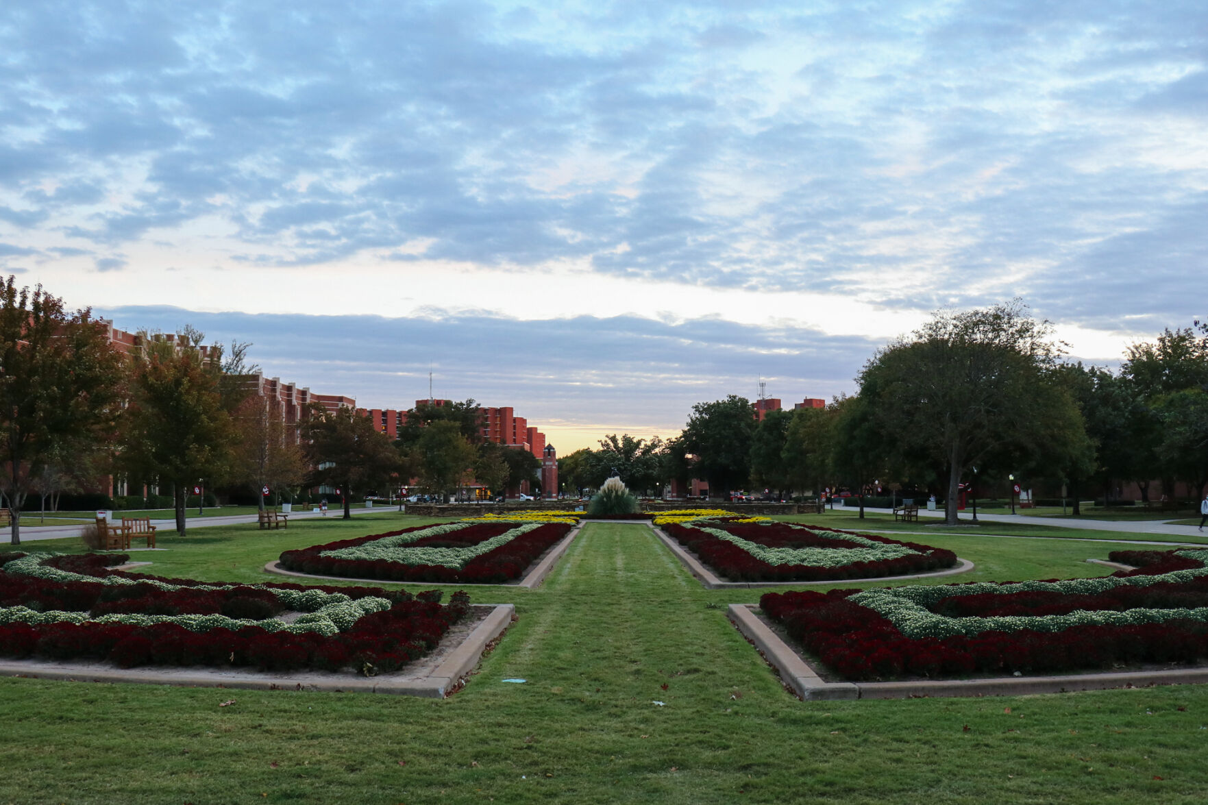 South Oval Mums